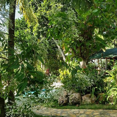 Zapote Tree Inn Флорес Екстер'єр фото