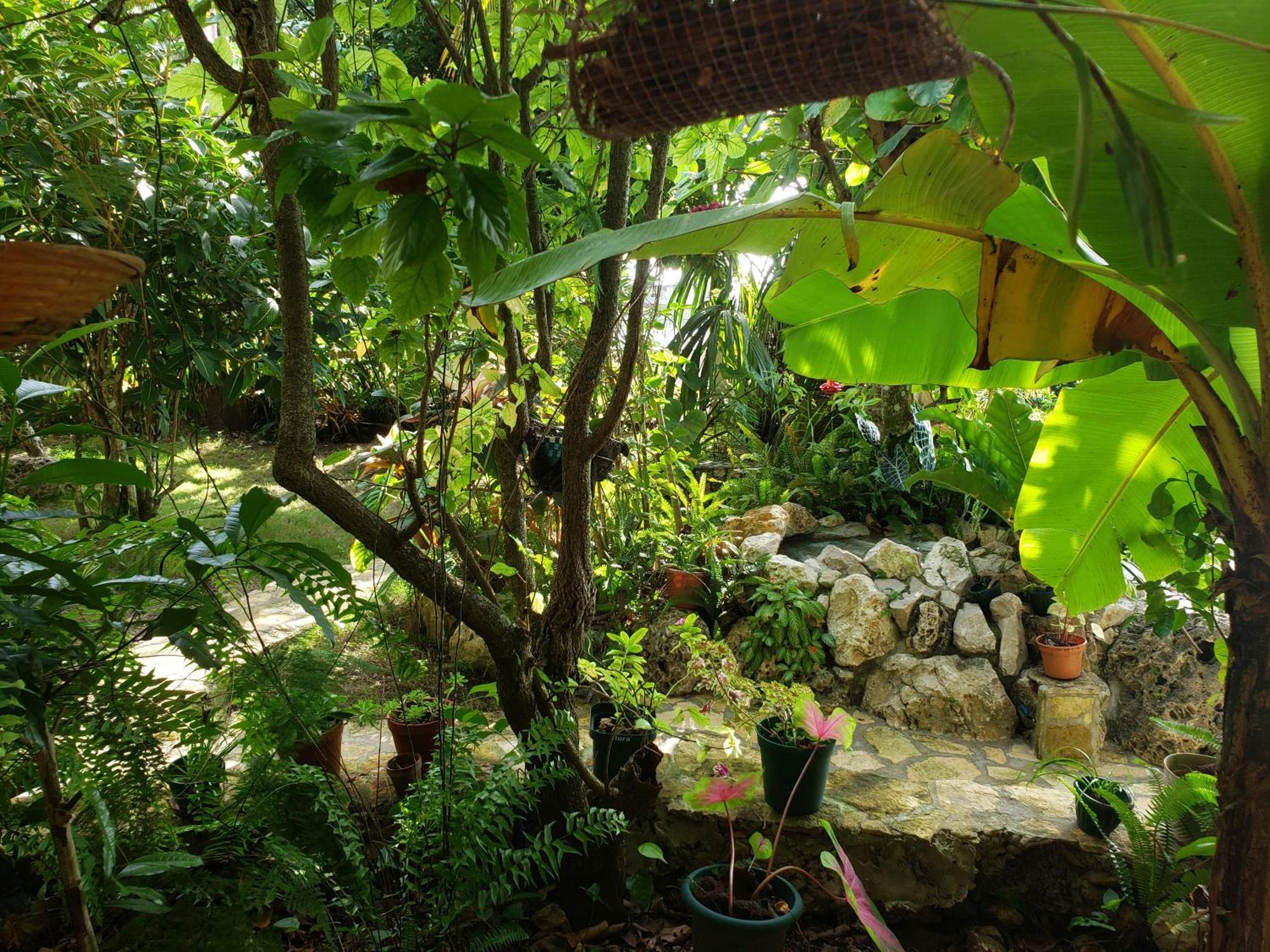 Zapote Tree Inn Флорес Екстер'єр фото