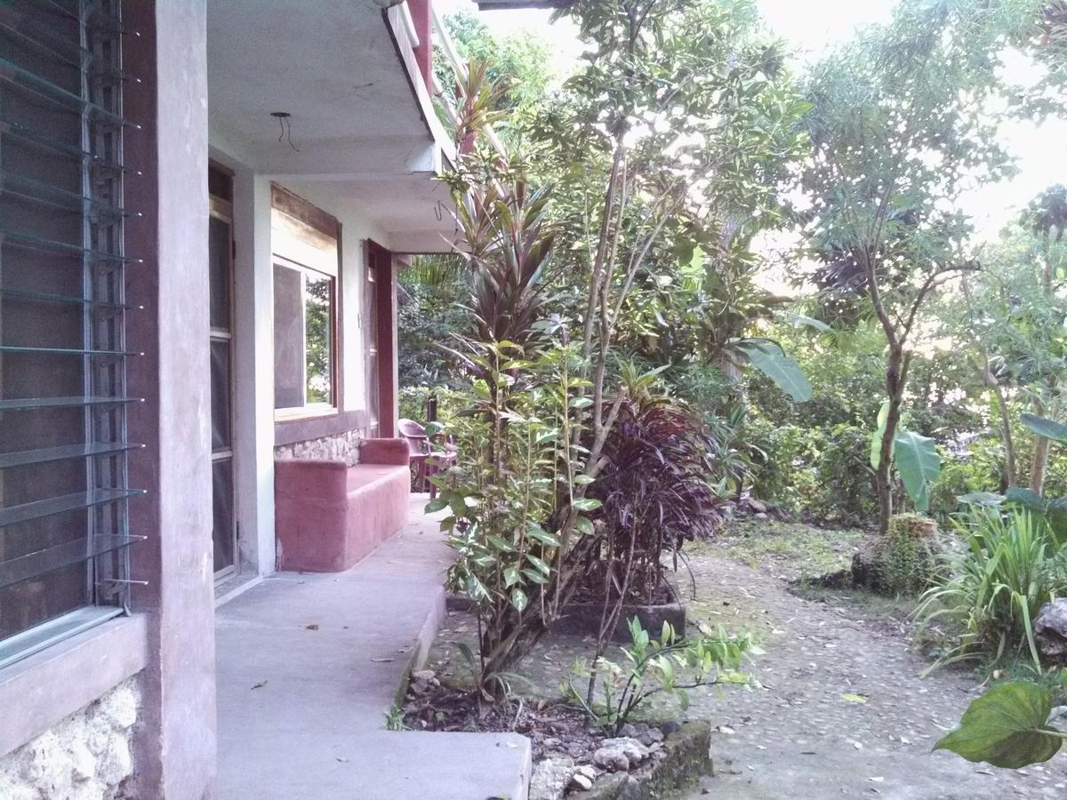 Zapote Tree Inn Флорес Екстер'єр фото