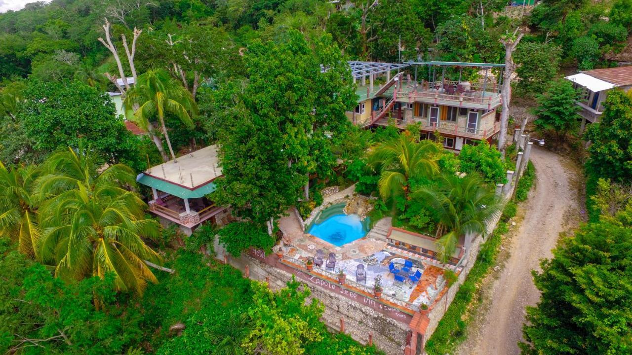 Zapote Tree Inn Флорес Екстер'єр фото